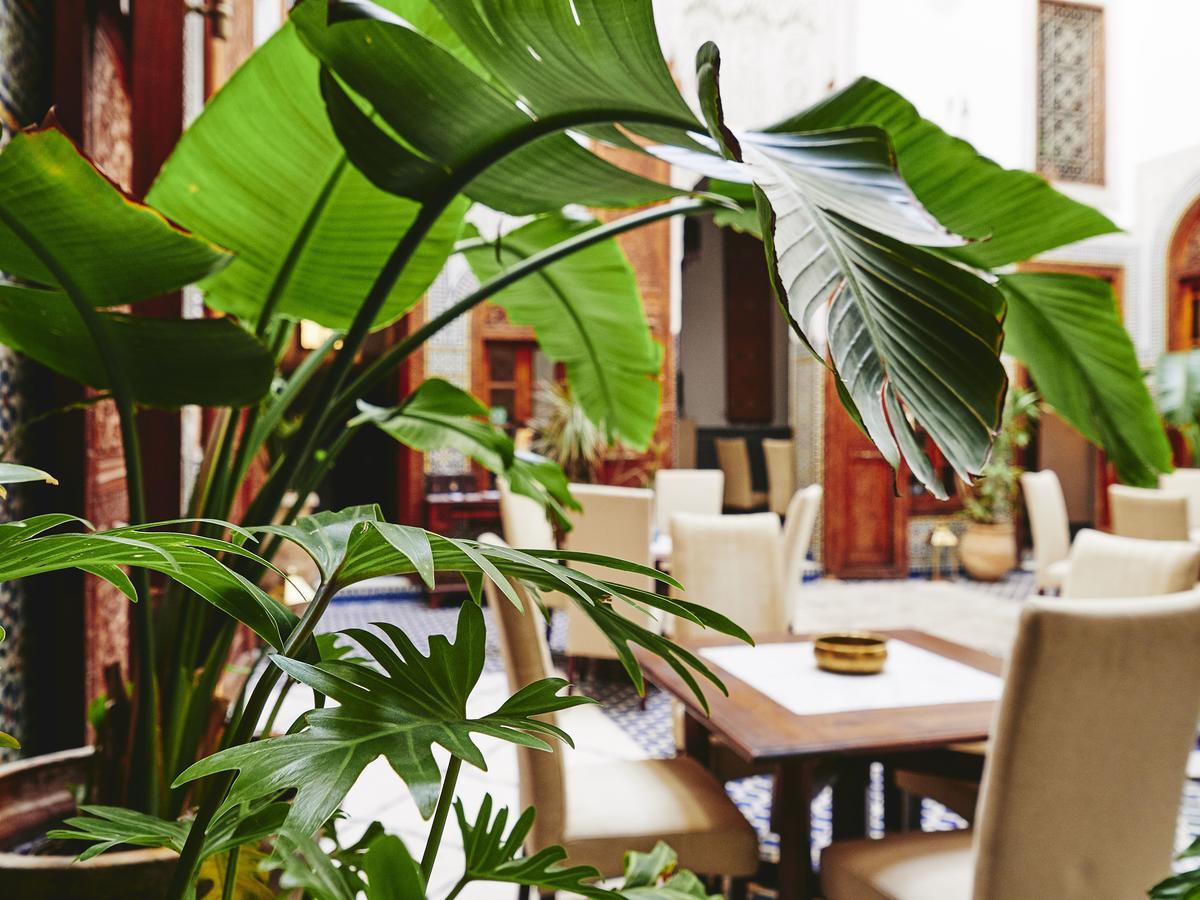 Dar Roumana Hotel Fes Ngoại thất bức ảnh